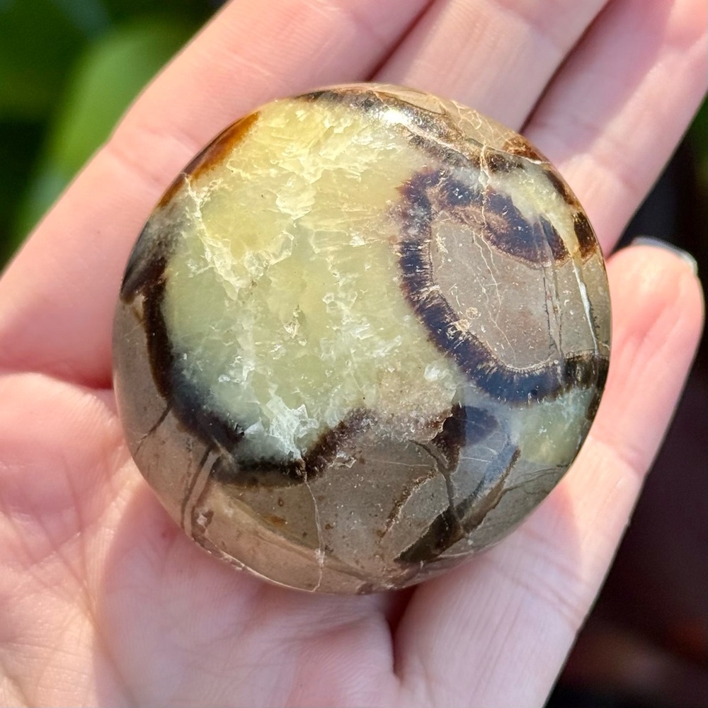 Septarian Crystal Palm Stone